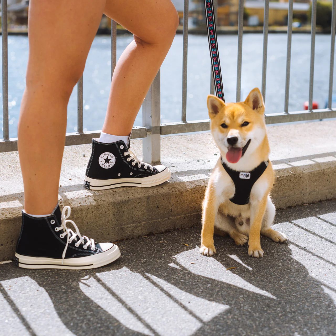 Chuck Taylor 70 Hi - Image 10
