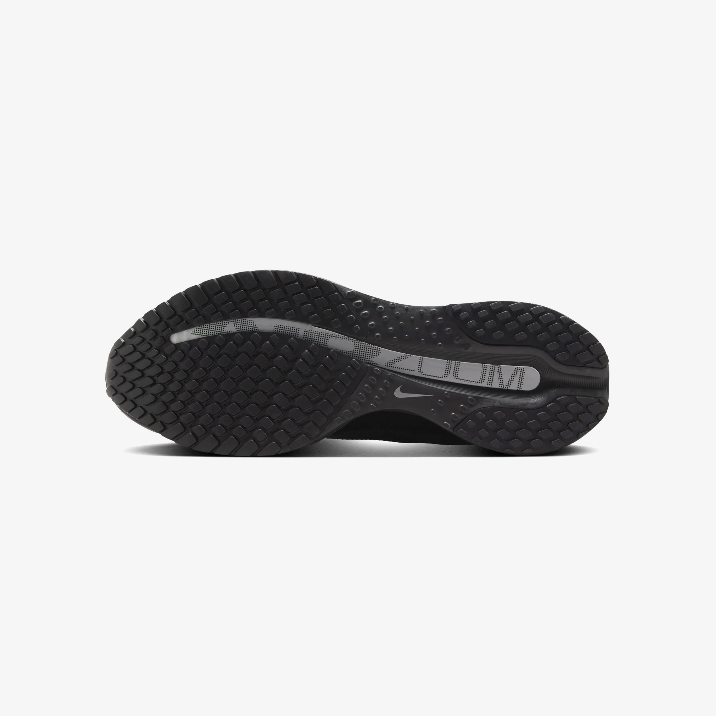 Pegasus Premium - Image 4