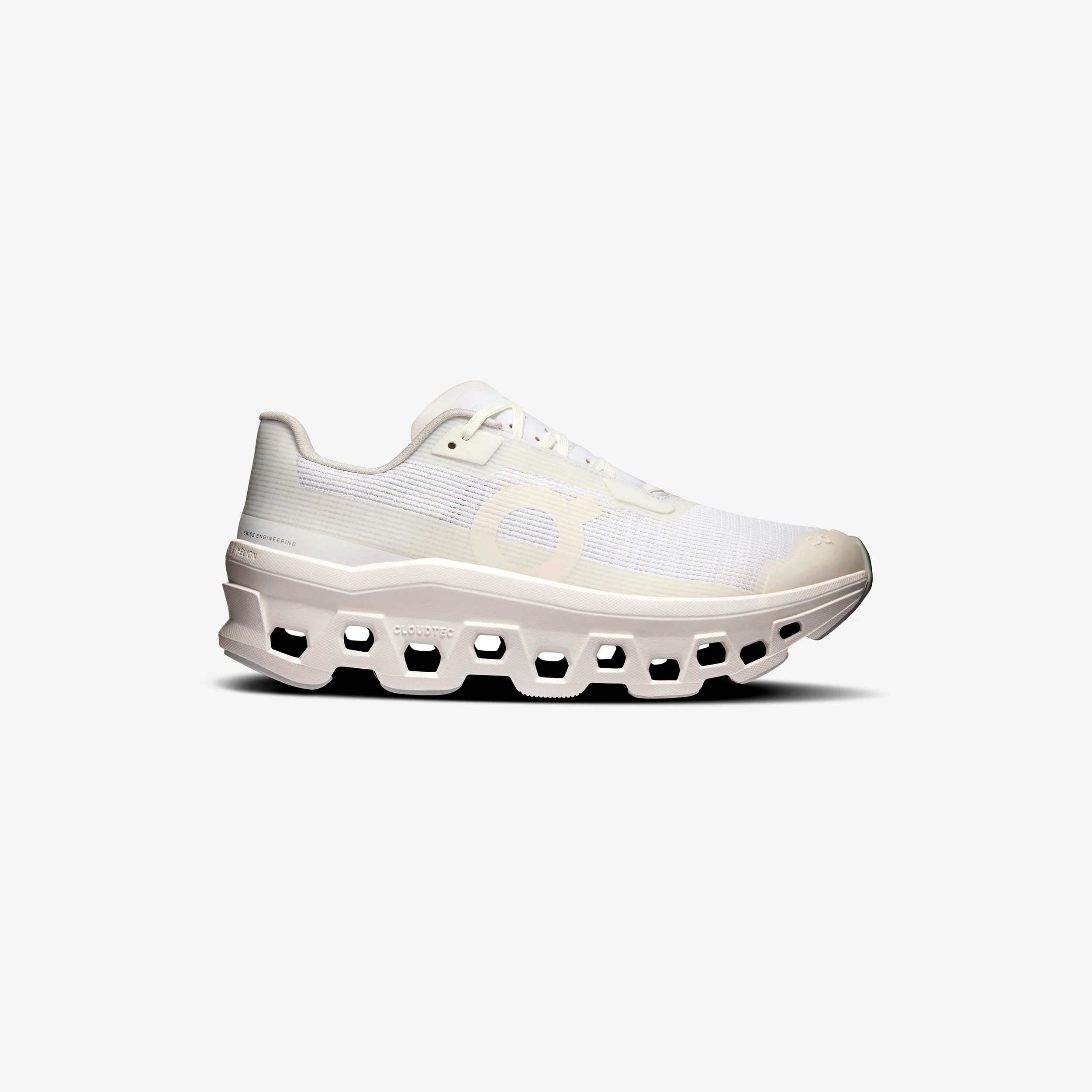 Wmns Cloudmonster Void